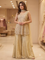 Meera Rose Pink Shimmer Sharara Set