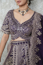 Mauve Royale Sequined Banarasi Lehenga