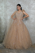 Zarina Gold Net Gown
