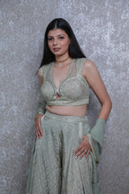Pista Green Weaving Silk Blouse with Handwork Sharara Set