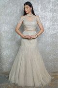 Zari Veil Fishcut Lehenga Set