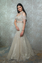 Zari Veil Fishcut Lehenga Set